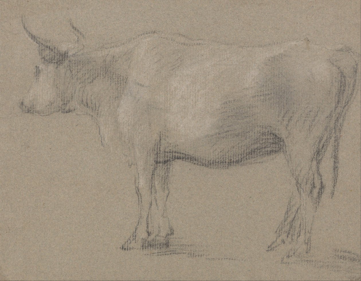 Tutkimus lehmästä tekijältä Thomas Gainsborough