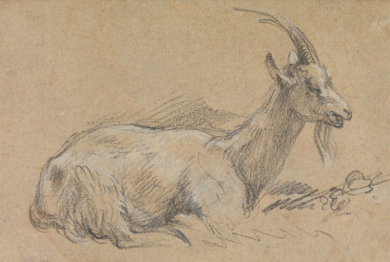 Tutkimus vuohista tekijältä Thomas Gainsborough