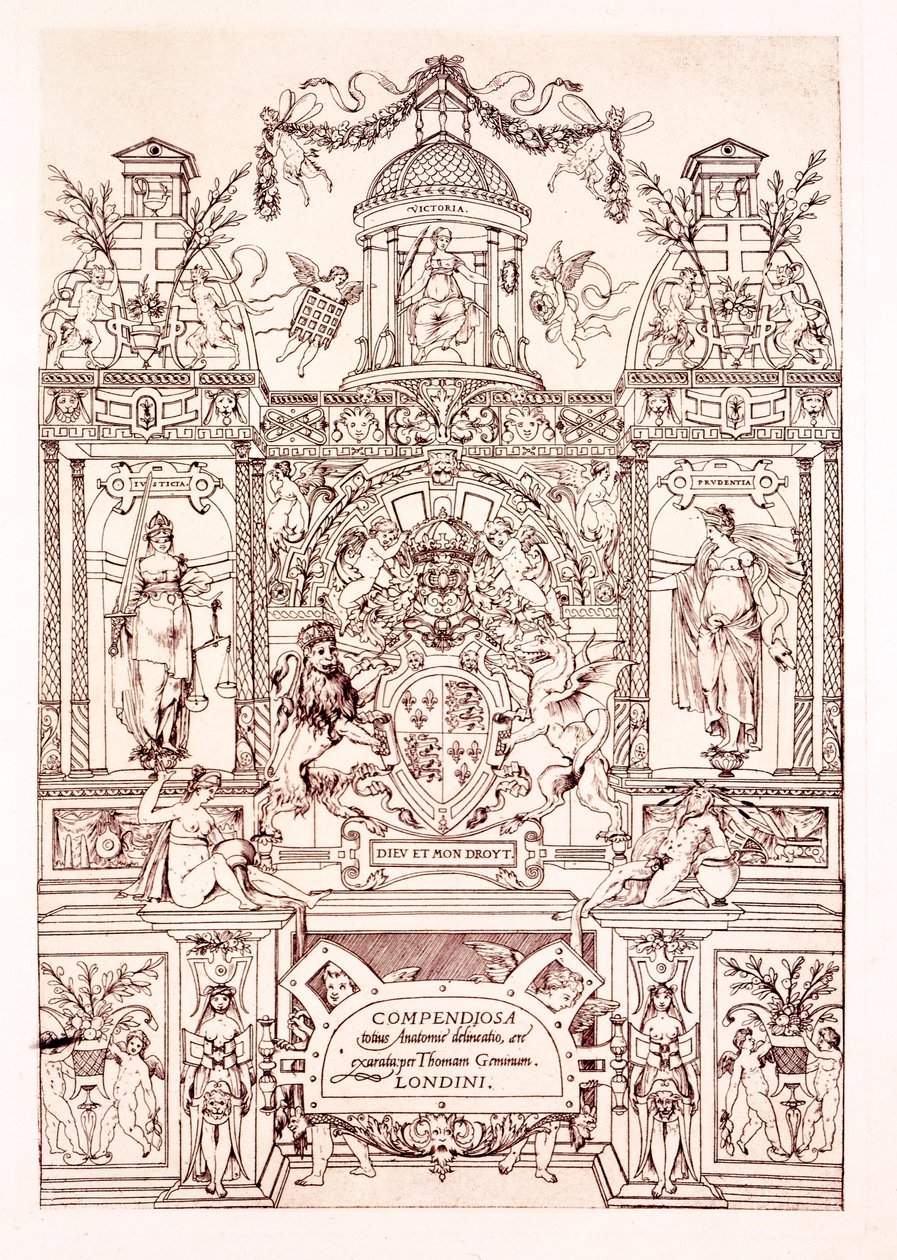 Anatomian kokoelman etukappale, 1545 tekijältä Thomas Geminus