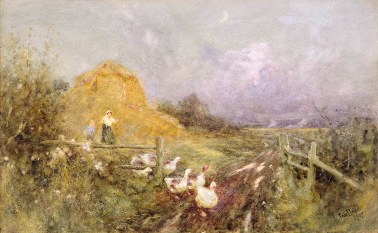 Hanhia ajamassa, alkuilta, 1907 tekijältä Thomas James Lloyd