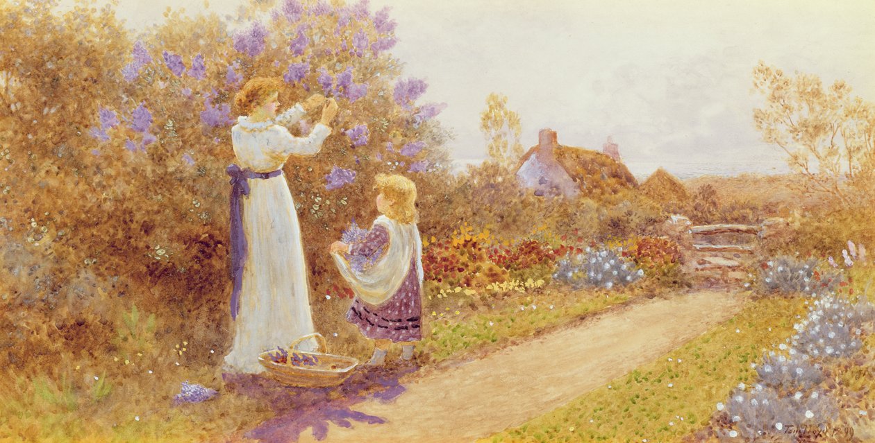 Liljat, 1899 tekijältä Thomas James Lloyd
