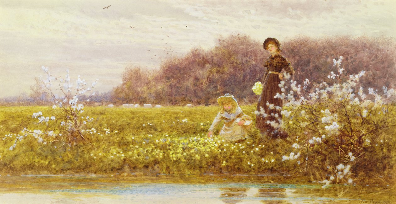Primrosien poiminta, 1896 tekijältä Thomas James Lloyd