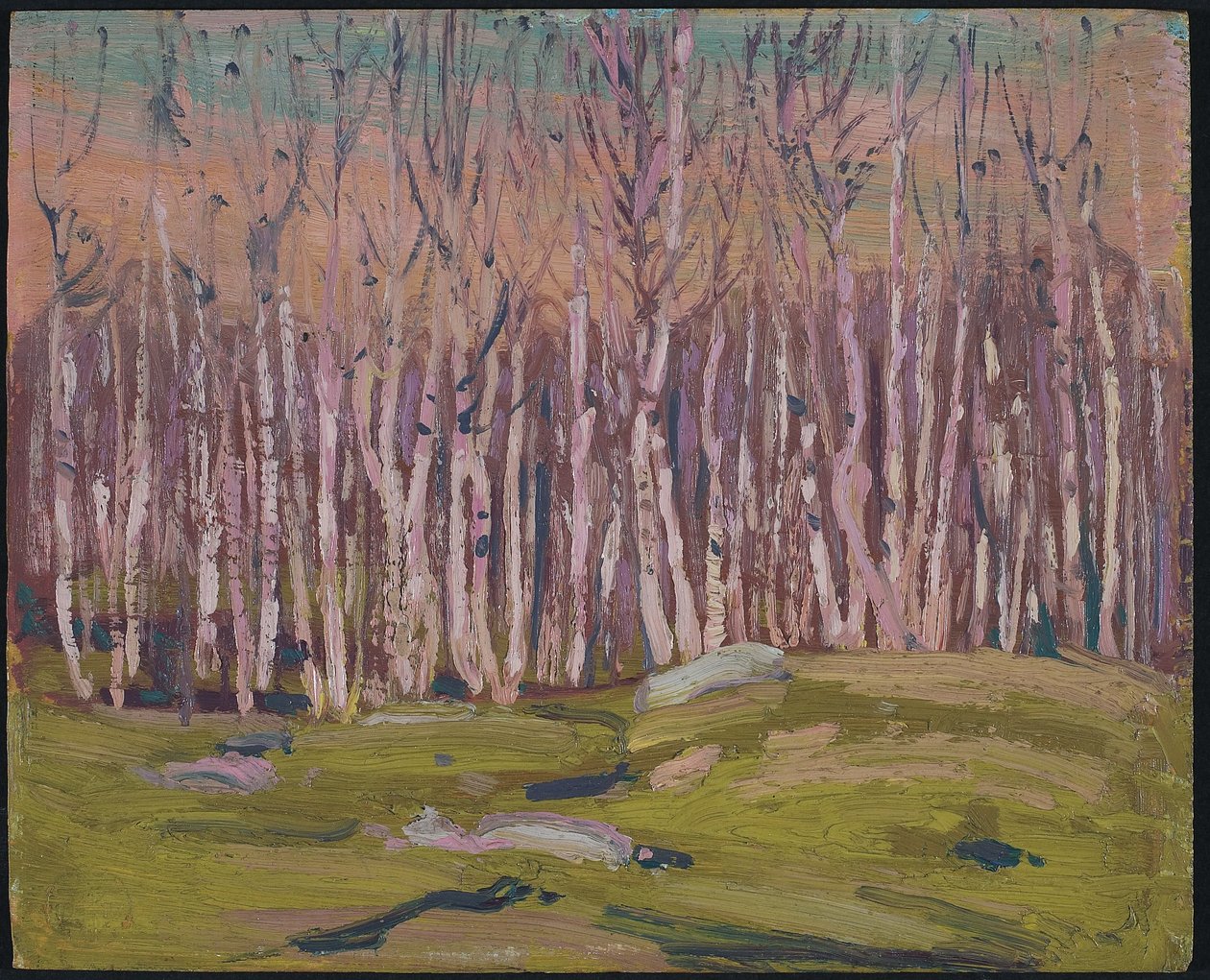 Silver Birches, n. 1915 (öljy puulevylle) tekijältä Tom Thomson