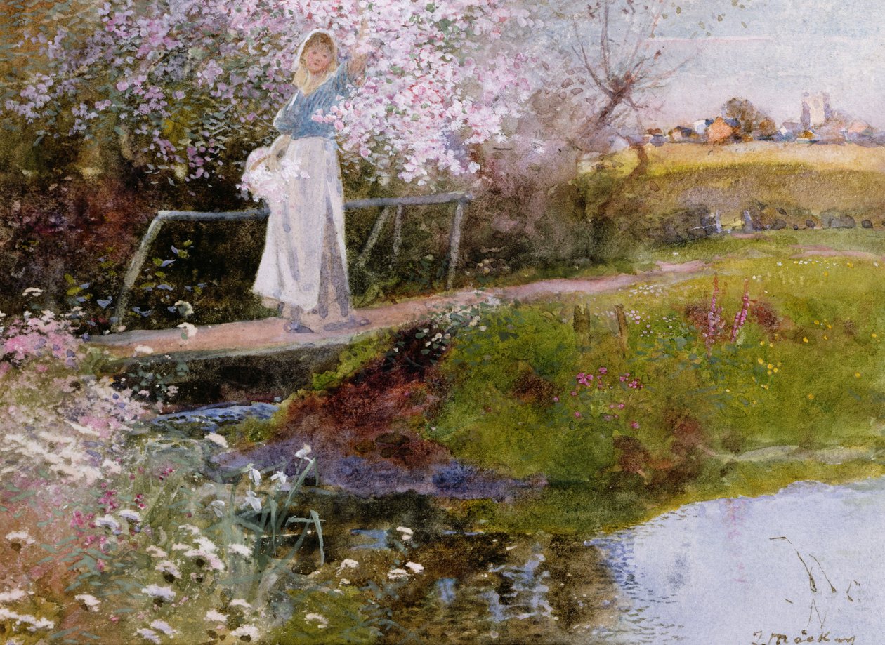 Orchard Brook tekijältä Thomas Mackay