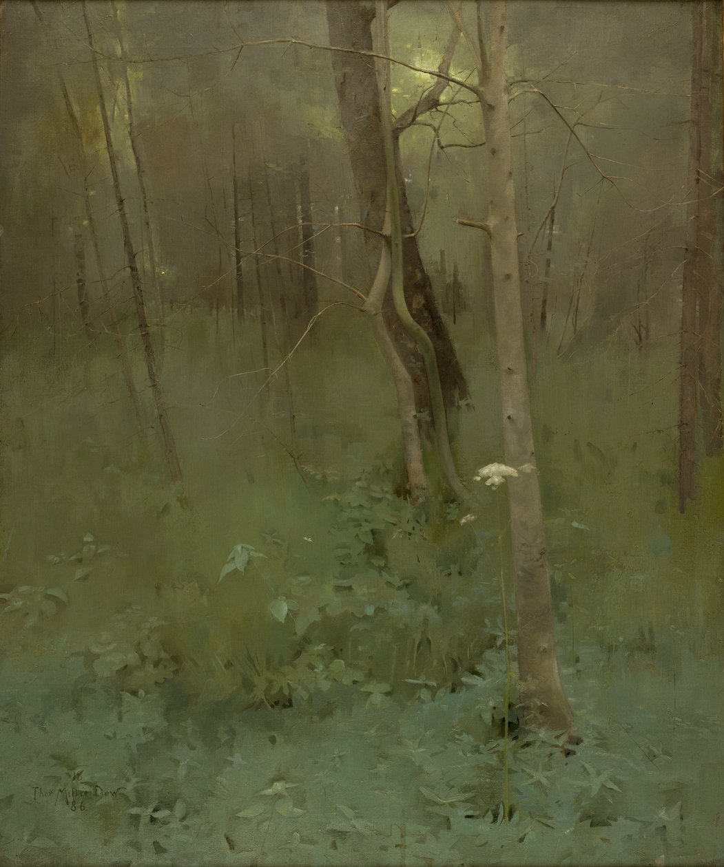 Puut, 1886 tekijältä Thomas Millie Dow
