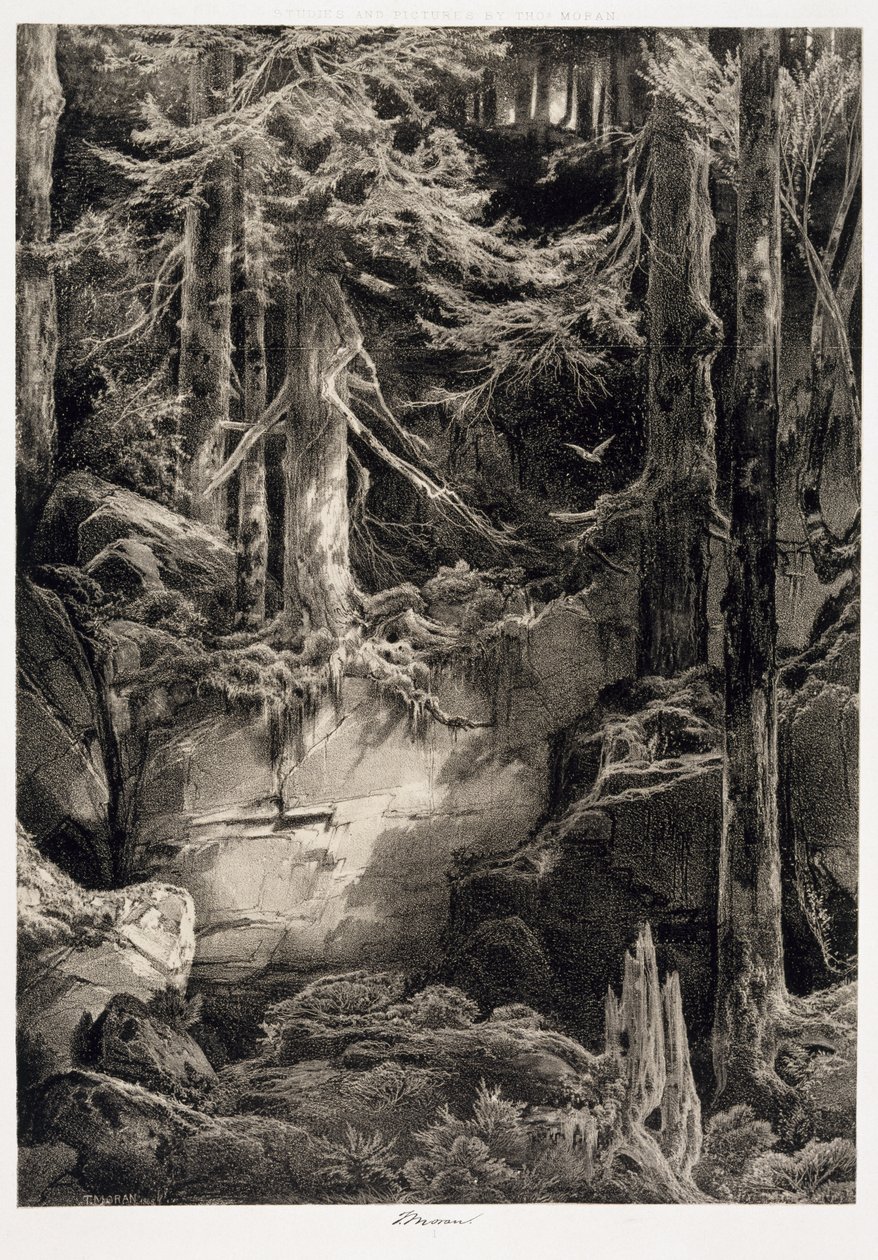 Wissahickonin metsässä, 1868 tekijältä Thomas Moran