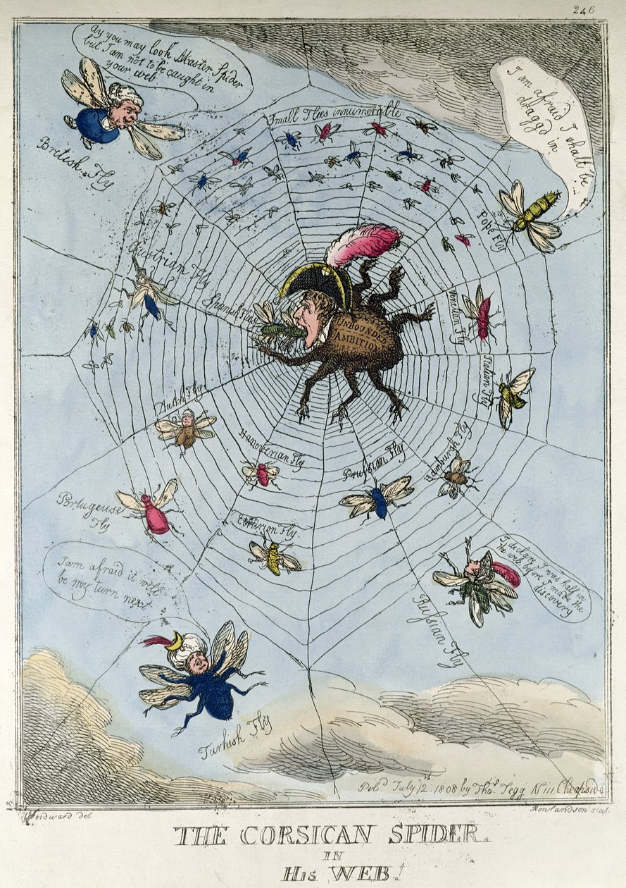 Korsikalainen hämähäkki verkossaan tekijältä Thomas Rowlandson