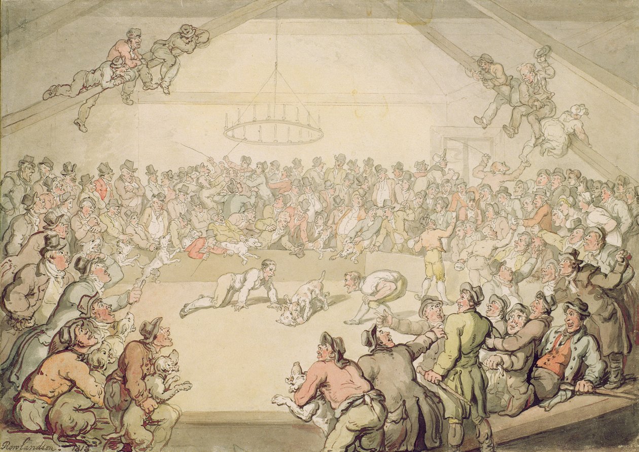 Koirataistelu tekijältä Thomas Rowlandson