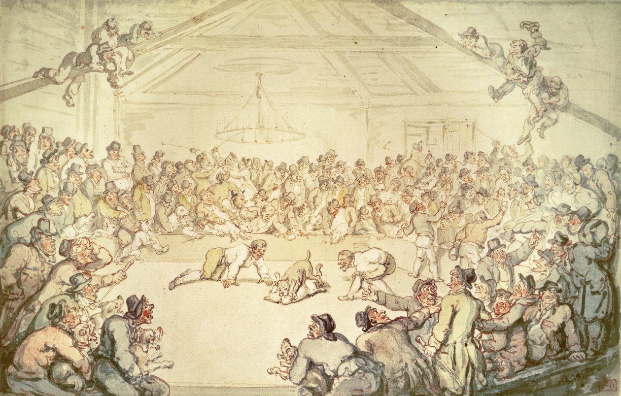 Koirataistelu tekijältä Thomas Rowlandson
