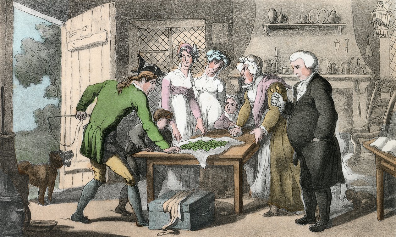 The Gross of Green Spectacles, kuvitus Oliver Goldsmithin teoksesta "The Vicar of Wakefield", pubi. Ackermann, 1817 (käsinvärinen akvatinta) tekijältä Thomas Rowlandson
