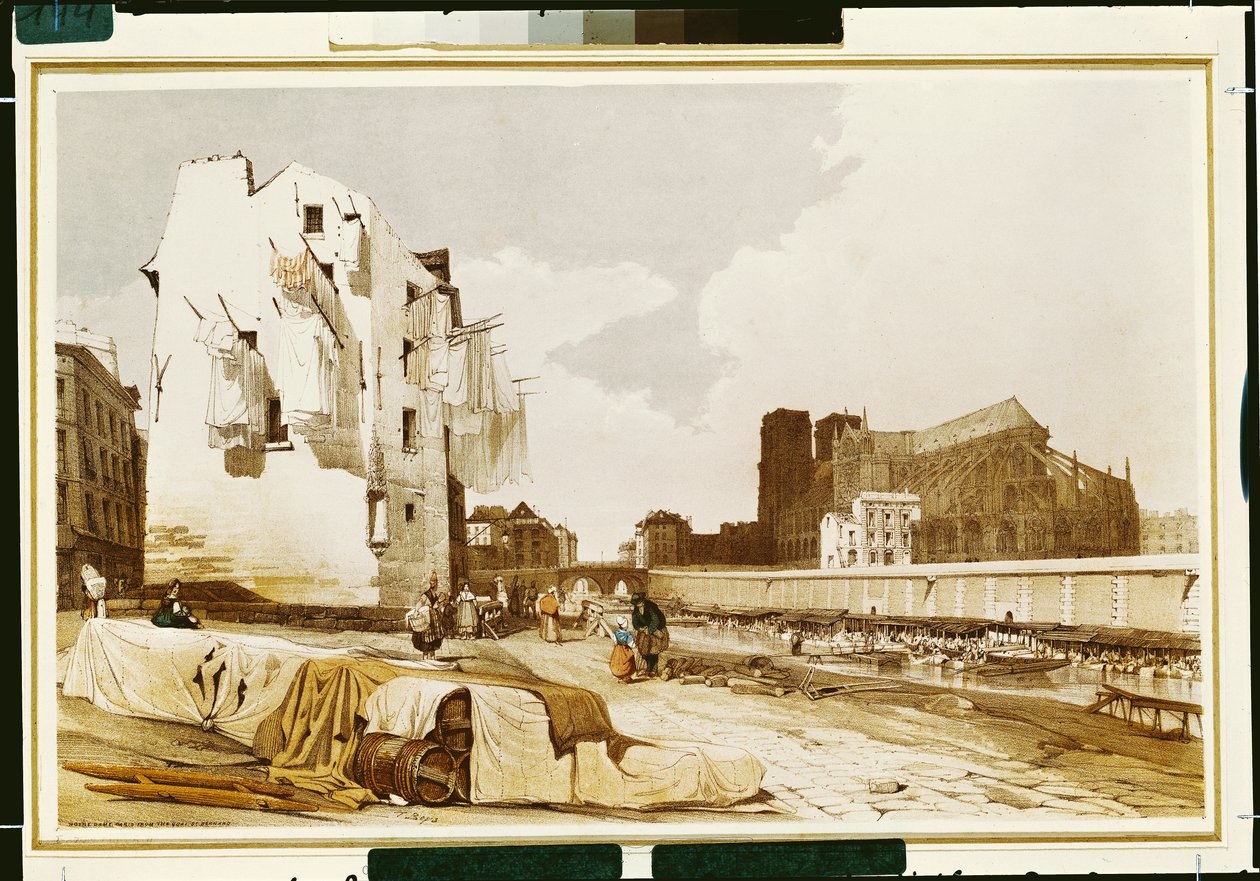 Notre Dame Quai St. Bernardista tekijältä Thomas Shotter Boys