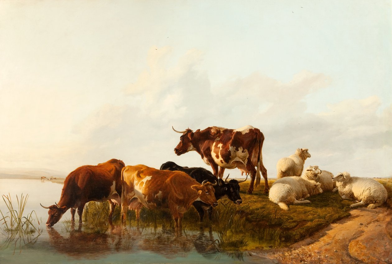Kesäinen iltapäivä, 1861 tekijältä Thomas Sidney Cooper