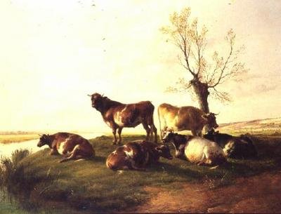 Canterbury Meadows tekijältä Thomas Sidney Cooper