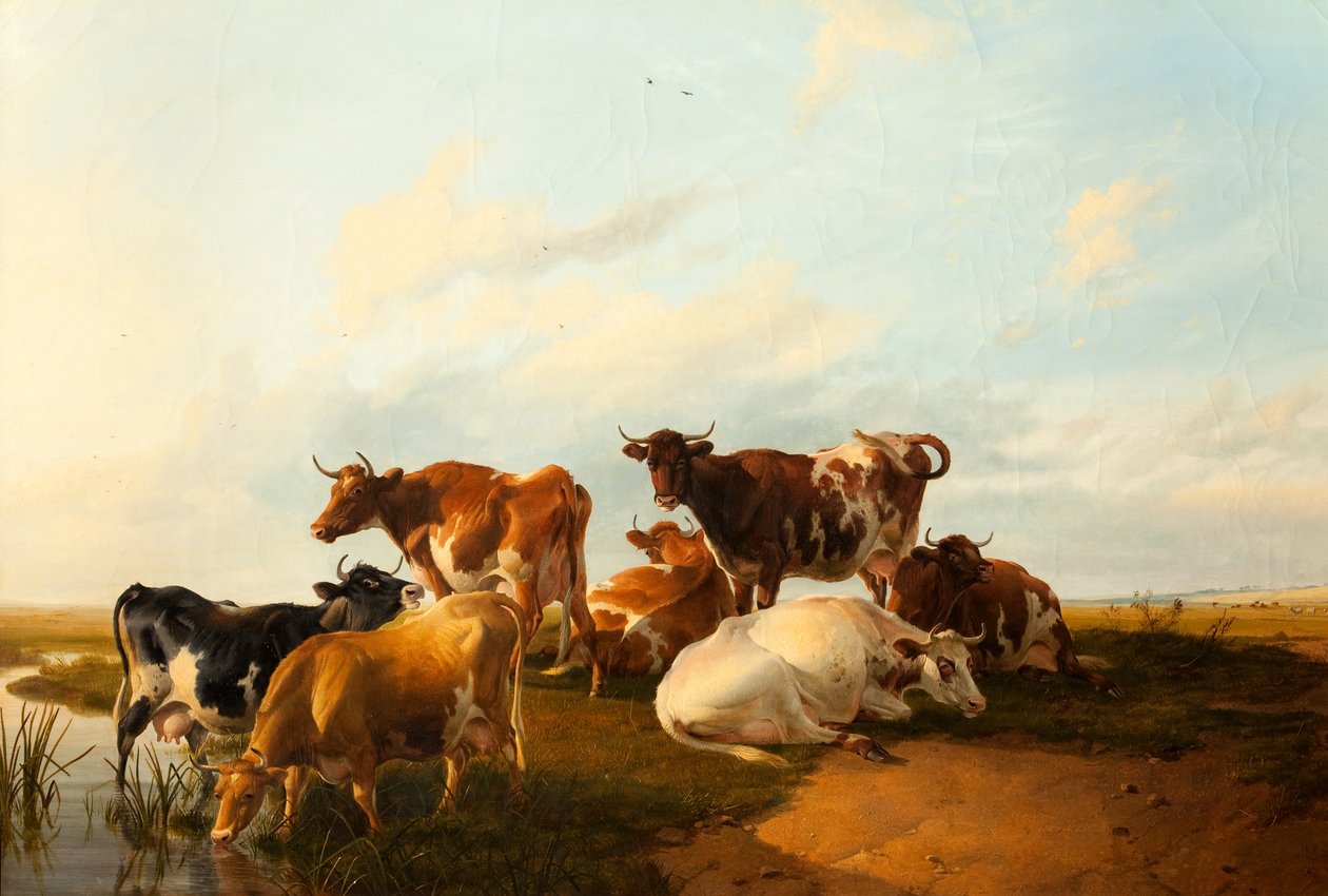 Ilta niityillä, 1871 tekijältä Thomas Sidney Cooper