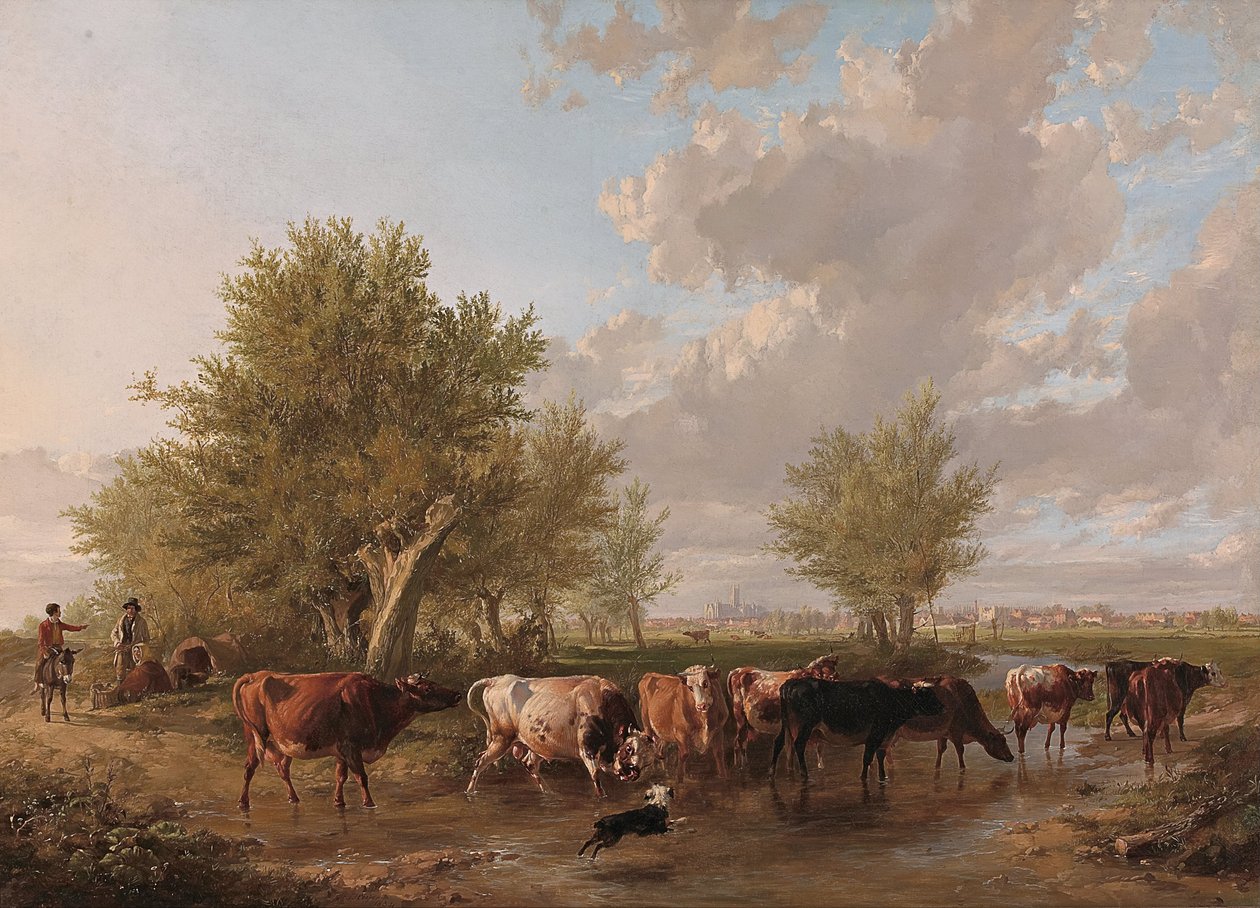 Puroa pitkin, Canterburyn esikaupunkialueella. tekijältä Thomas Sidney Cooper