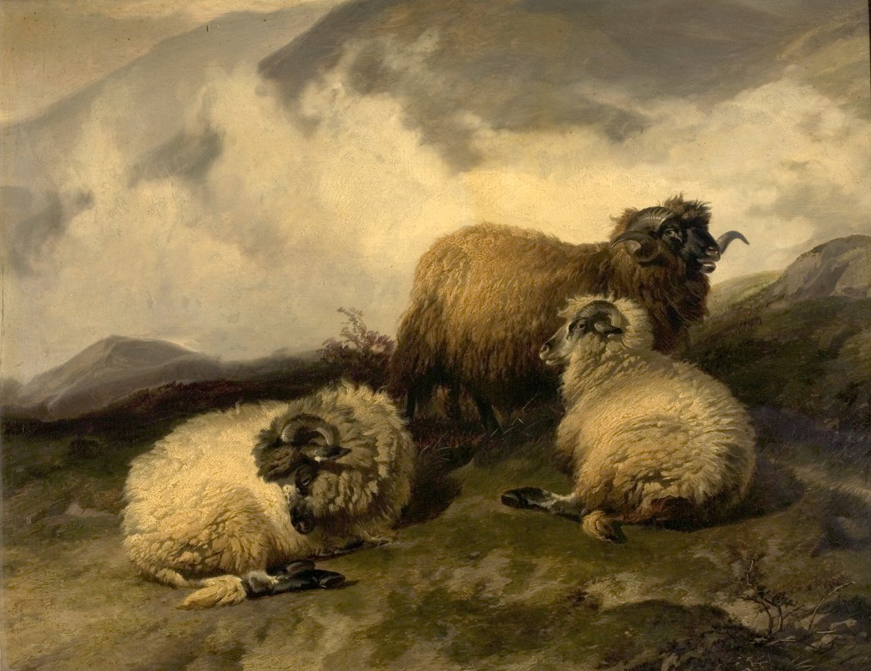 Vuorilammas (aamuusumun poistuminen) 1846 tekijältä Thomas Sidney Cooper
