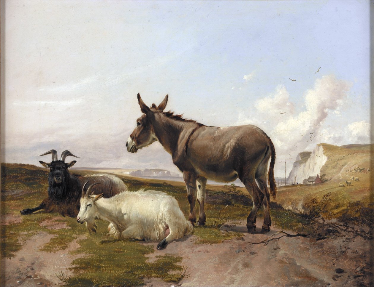 On alamäkiä tekijältä Thomas Sidney Cooper