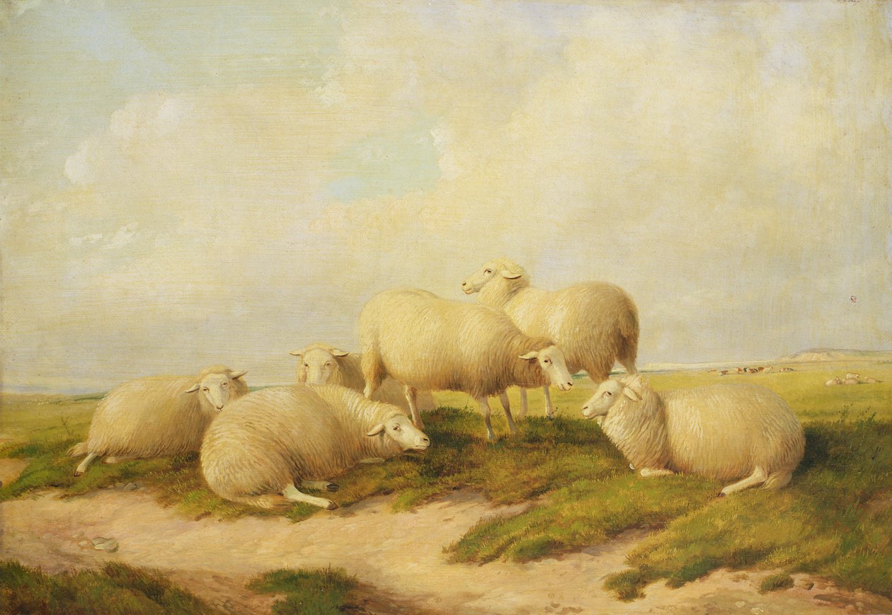 lampaat tekijältä Thomas Sidney Cooper