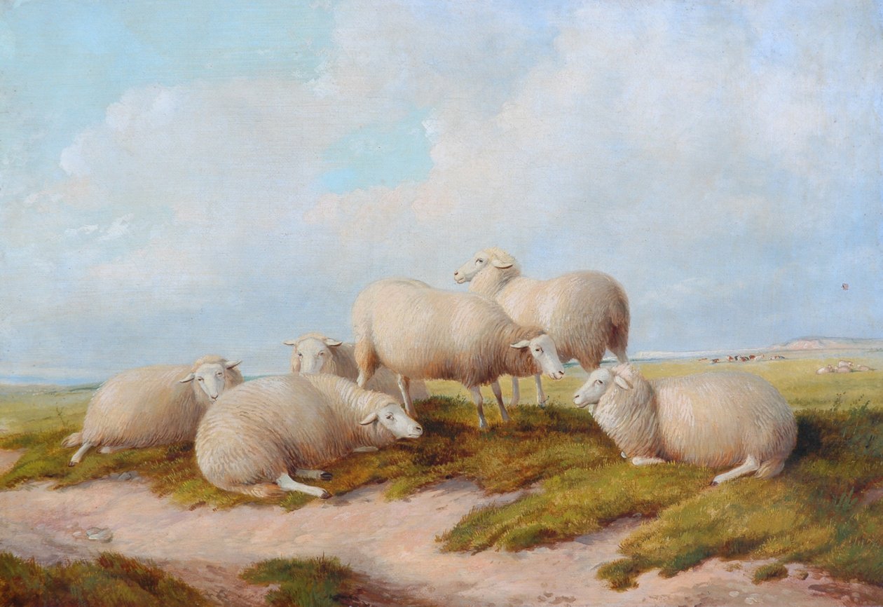 lampaat tekijältä Thomas Sidney Cooper