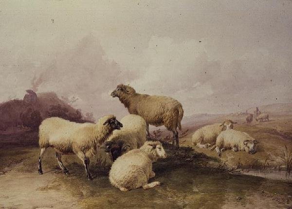 Lampaat maisemassa, 1844 tekijältä Thomas Sidney Cooper
