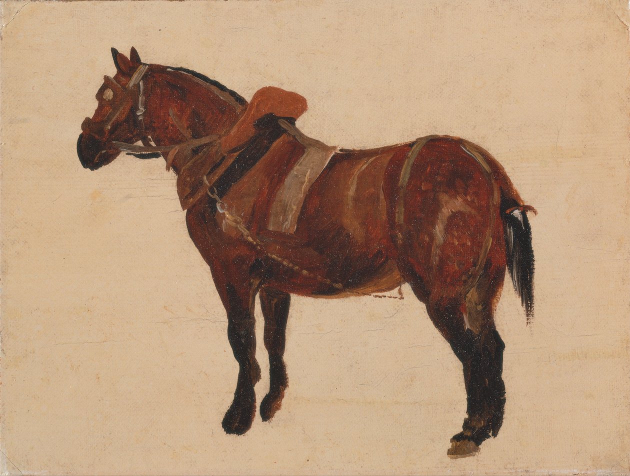 Tutkimus työhevosesta tekijältä Thomas Sidney Cooper