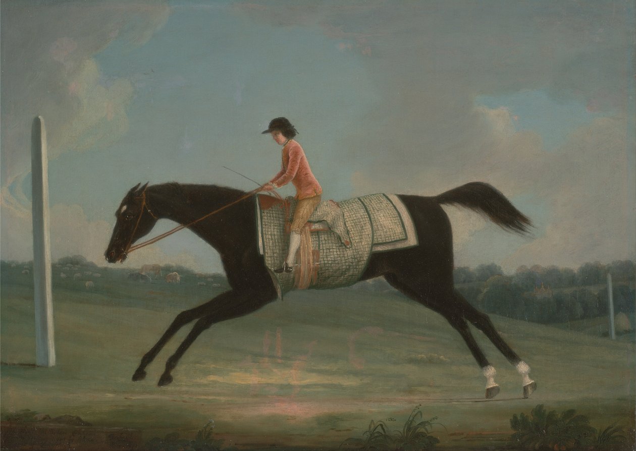 Borlase Cokayne Sultana -ratsastavana poikana tekijältä Thomas Smith of Derby