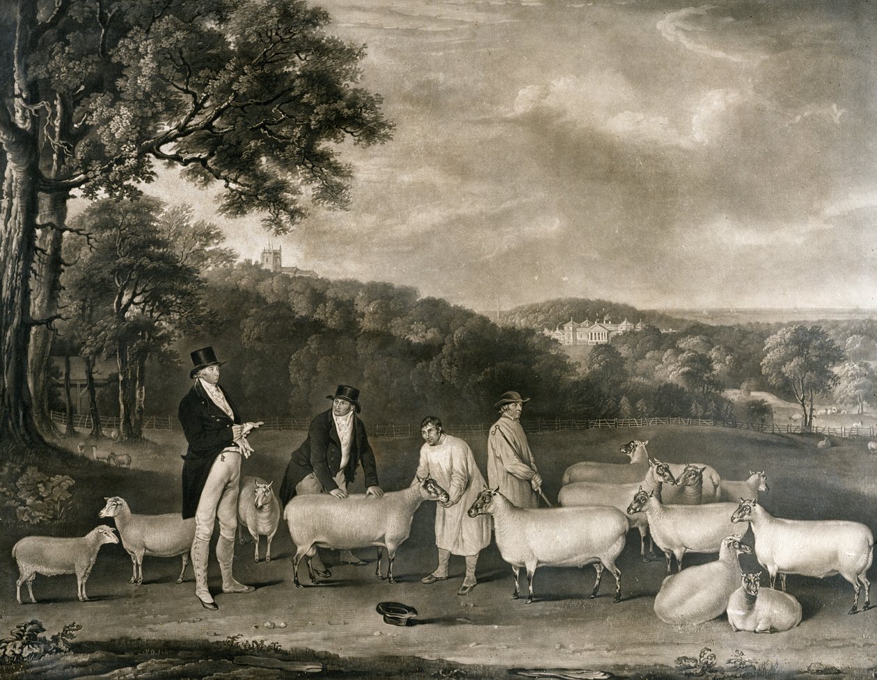 Thomas William Coken muotokuva, Esq. (1752-1842) tarkastamassa joitain South Downin lampaitaan herra Waltonin ja Holkham-paimenten kanssa, kaivertanut William Ward (1766-1826), 1808 tekijältä Thomas Weaver