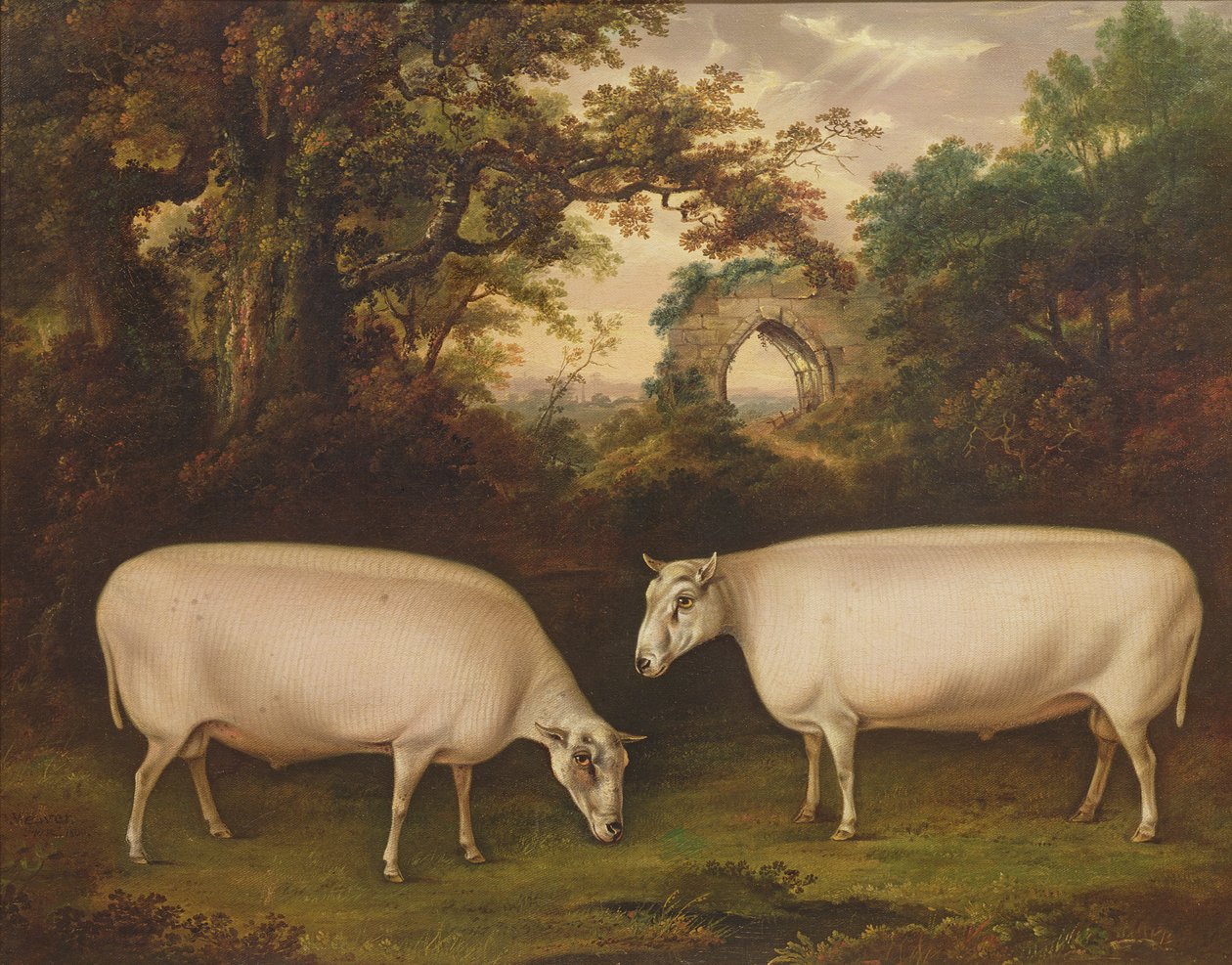 Kaksi Prize Border Leicester -pässiä maisemassa, 1800 tekijältä Thomas Weaver