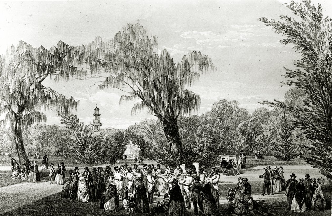 Kasvitieteellinen puutarha, Kapkaupunki, printti W. Simpson, noin 1850-luku tekijältä Thomas William Bowler
