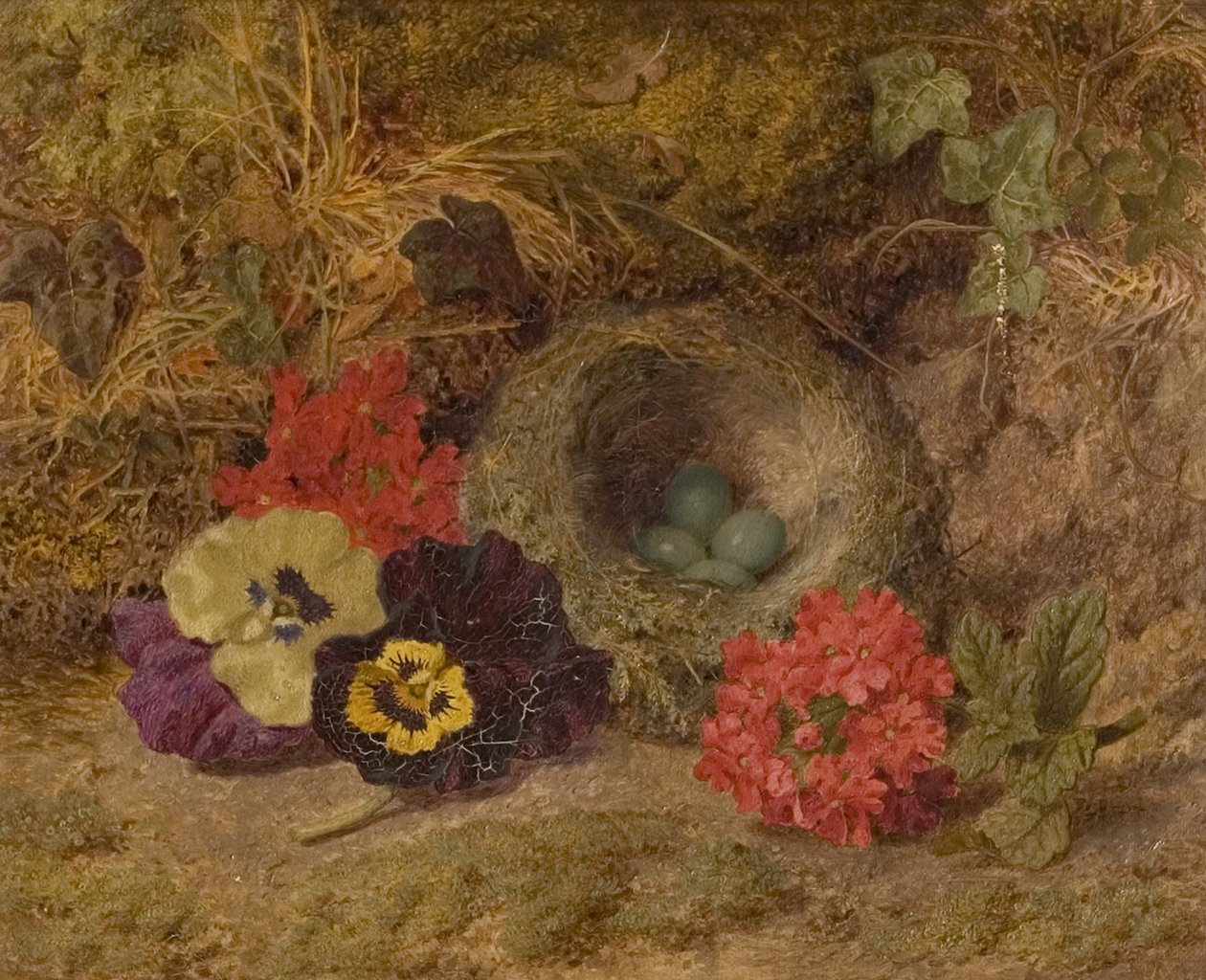 Linnunpesä, orvokki ja verbena, 1800-luvun loppu tekijältä Thomas Worsey