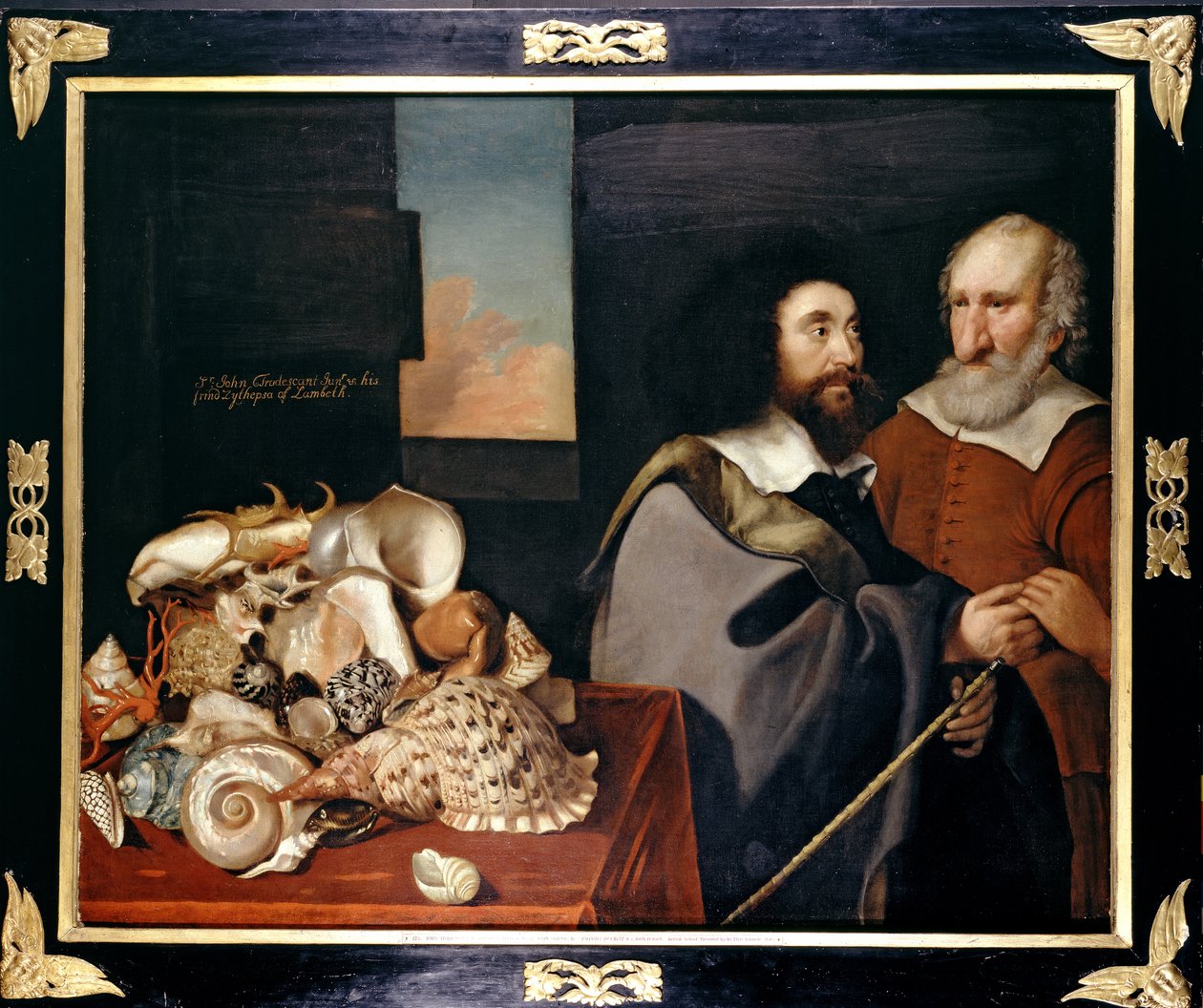 John Tradescant nuorempi Roger Friendin ja eksoottisten kuorien kokoelman kanssa, 1645 tekijältä Thomas de Critz