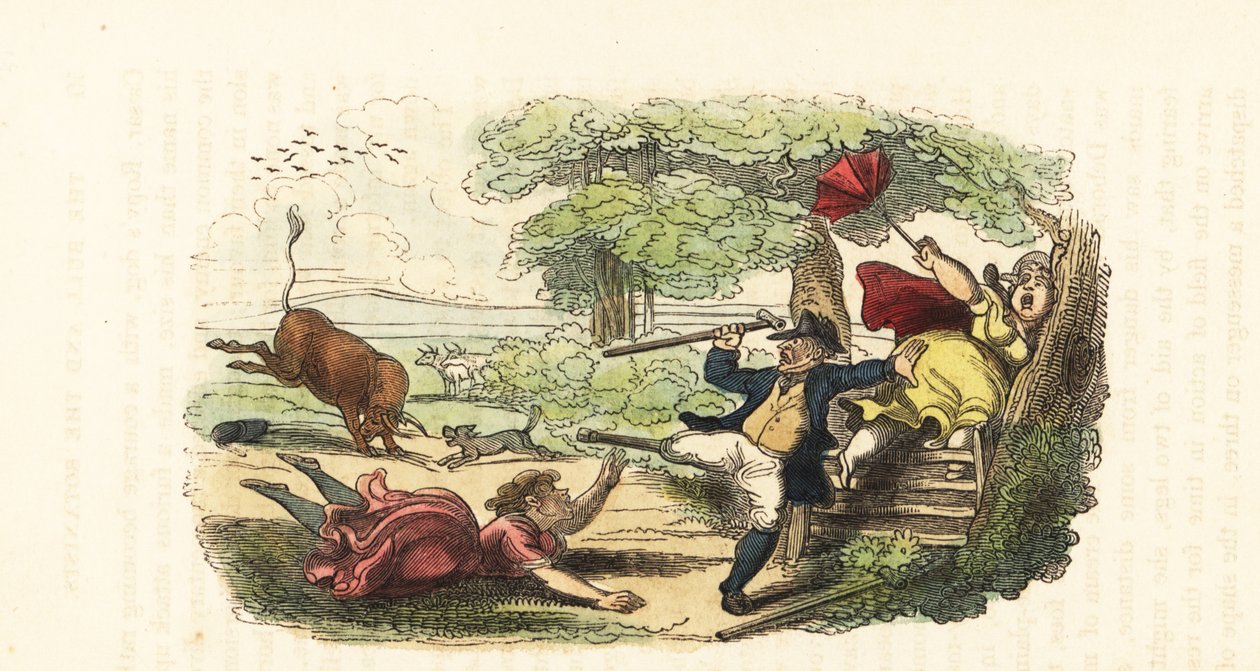 Kasvitieteilijöiden perhe hyökkäsi pellolla syöksyvän härän kimppuun. ,1831 (kaiverrus) tekijältä Thomas (after) Rowlandson