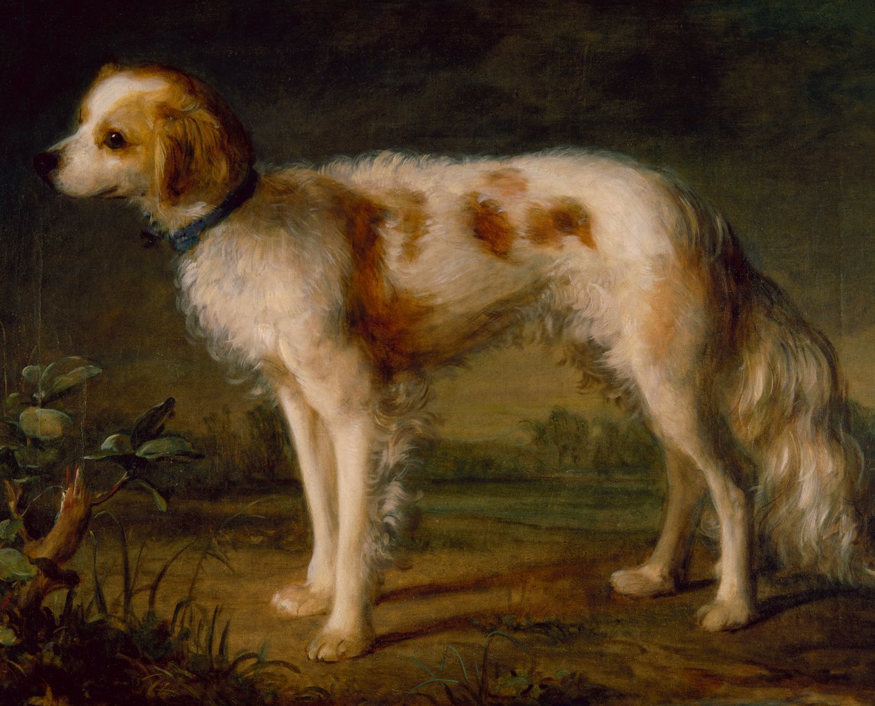 Spanieli maisemassa (öljy) tekijältä Thomas (circle of) Gainsborough