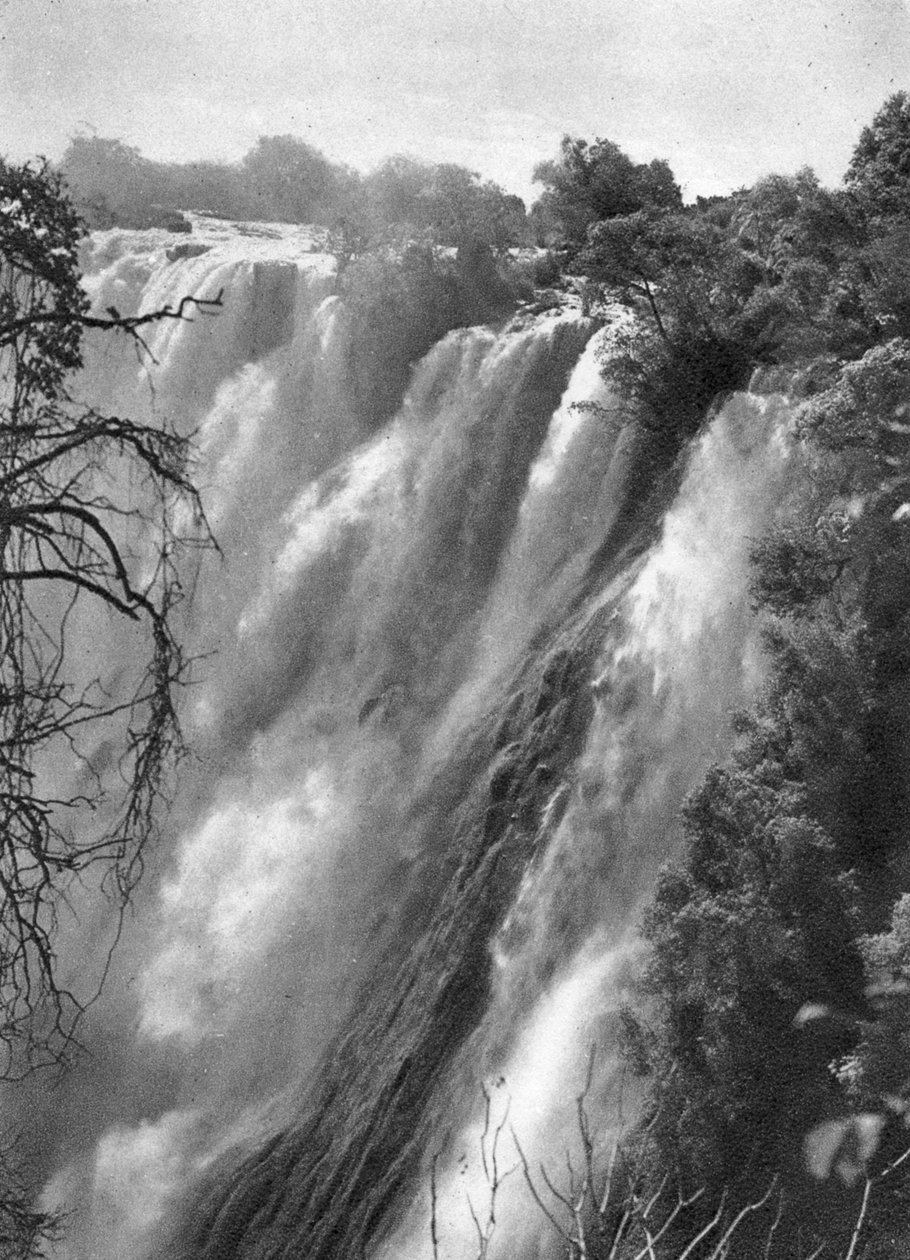 Itäinen kaihi, Victoria Falls, Livingstone to Broken Hill, Pohjois-Rhodesia, 1925 1927. tekijältä Thomas A. Glover