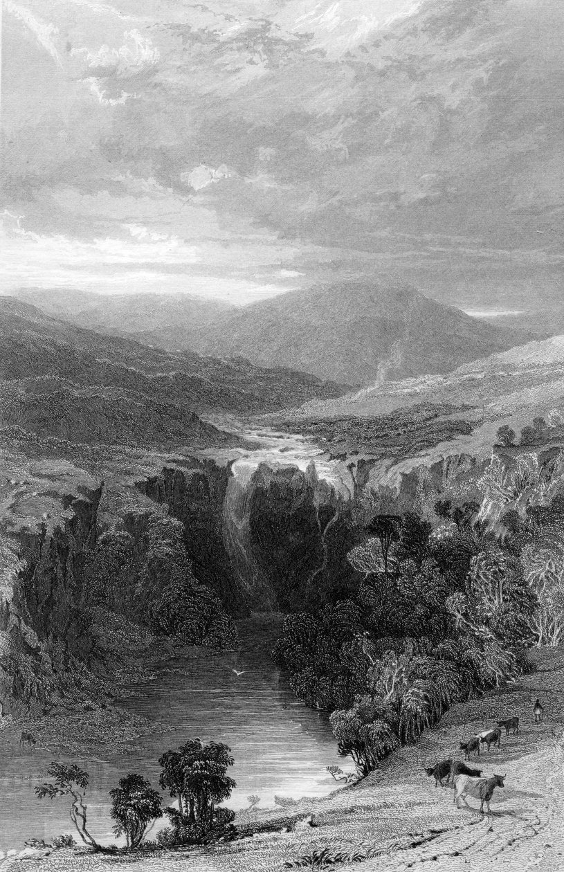 High Force by the Tees, Durham, n. 1835 tekijältä Thomas Allom