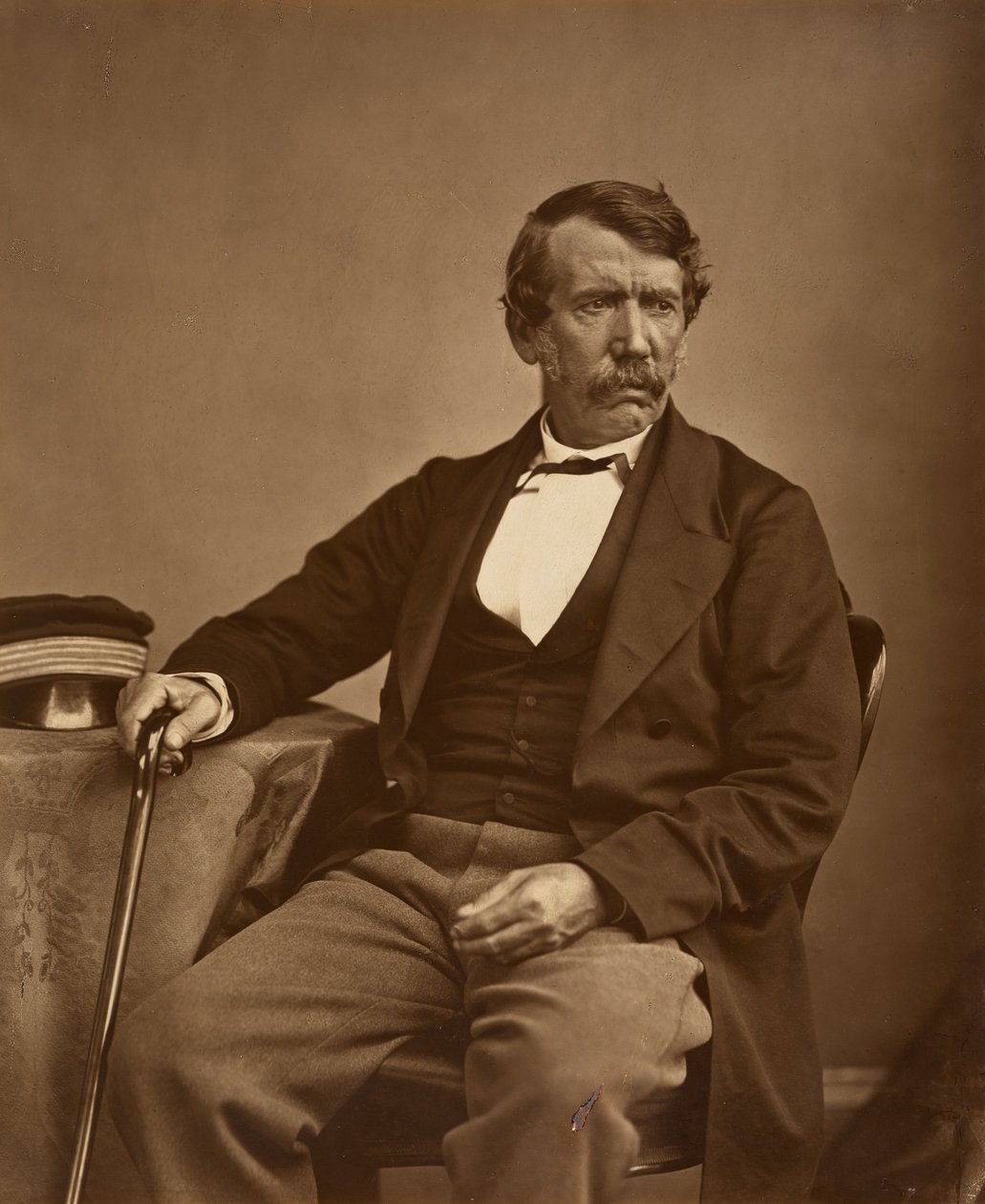 David Livingstone by Thomas Annan - Original tekijältä Thomas Annan