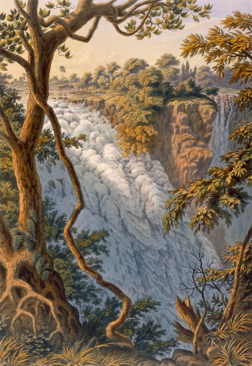Victoria Falls: The Leaping Water, pubi. 1864. tekijältä Thomas Baines