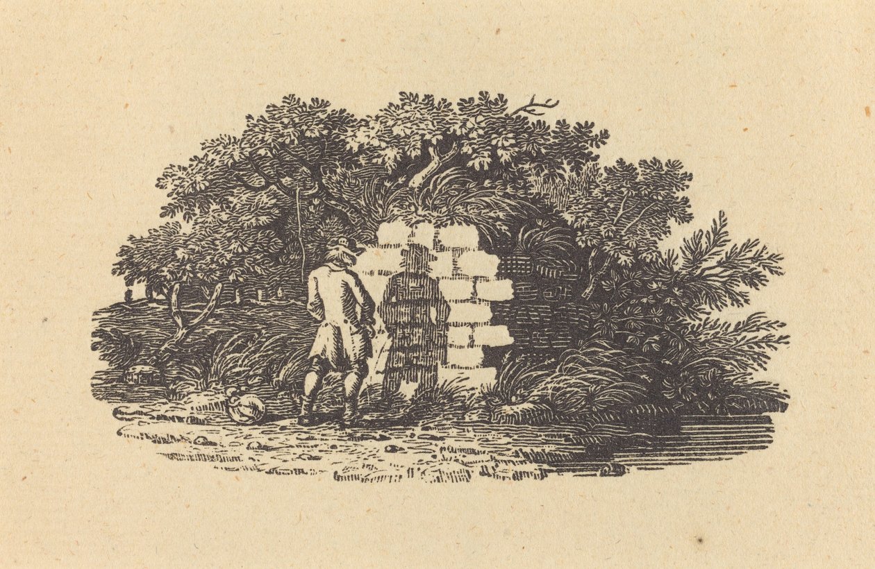 Mies kusee tekijältä Thomas Bewick