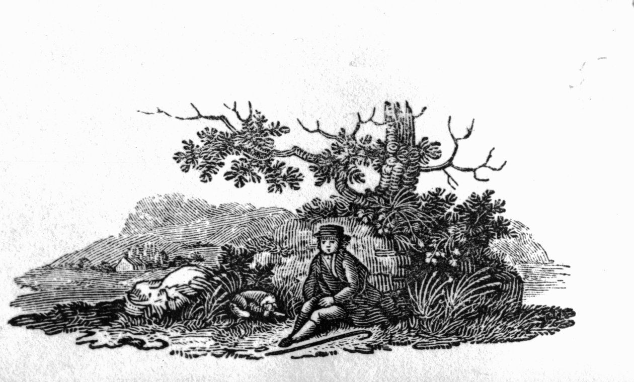 Mies istuu kitukasvuisen puun ääressä Brittiläisten lintujen ja nelijalkaisten historiasta tekijältä Thomas Bewick