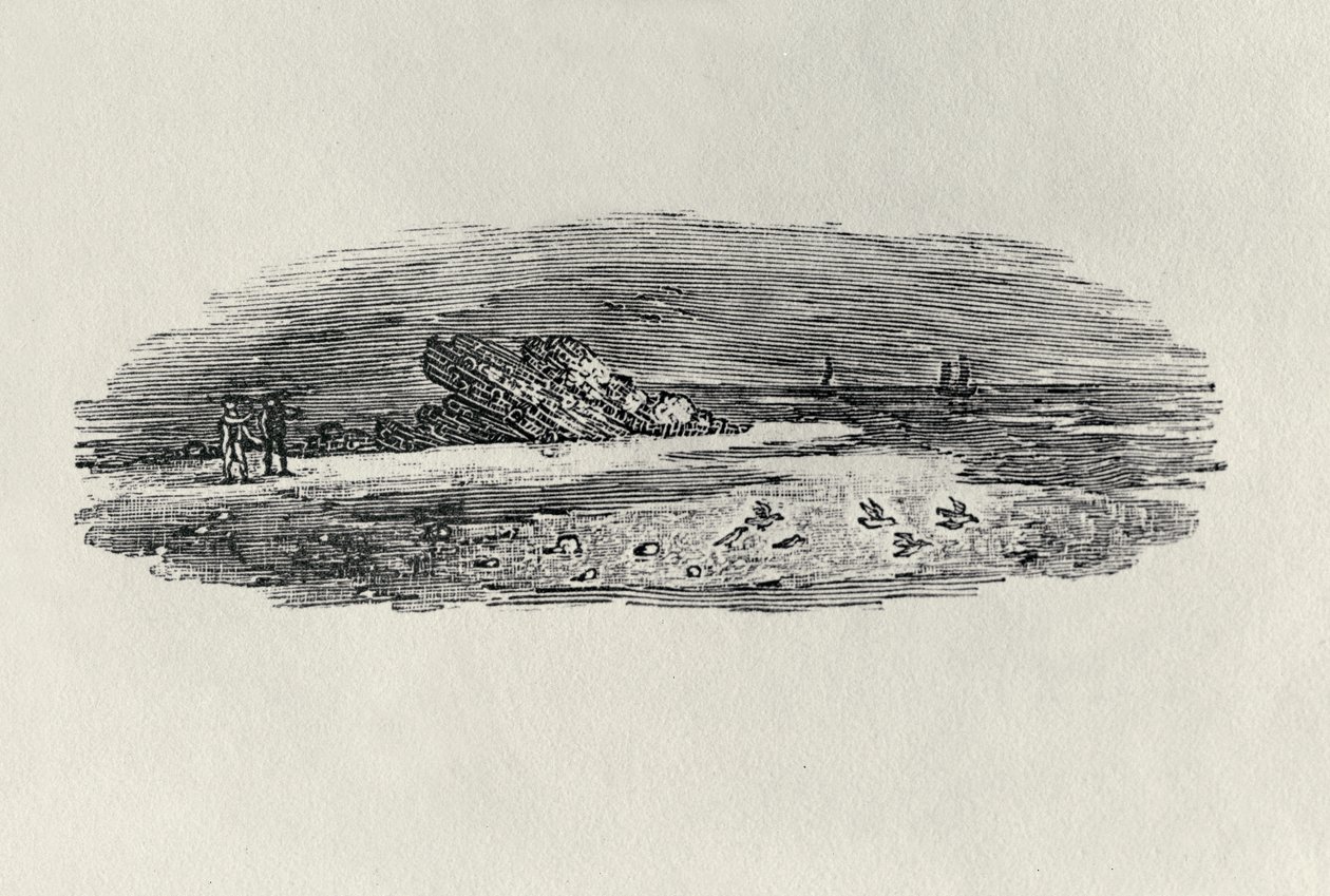 Rocks with Coastal Shipping, c. 1801, "Water Birds" -julkaisusta, julkaistu 1804 (puukaiverrus) tekijältä Thomas Bewick