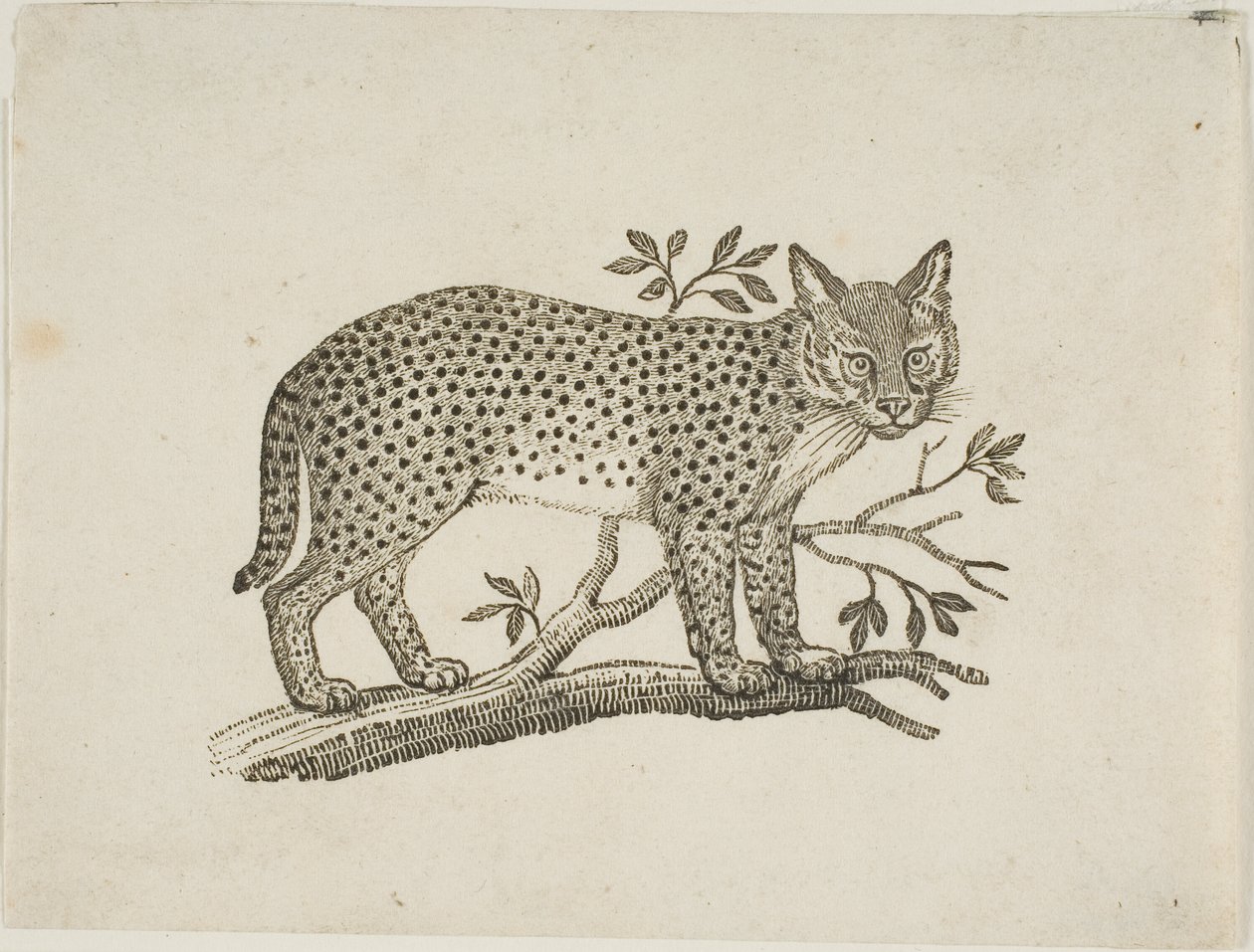 Servaali tekijältä Thomas Bewick