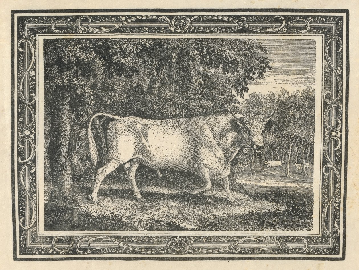 Chillinghamin villi härkä tekijältä Thomas Bewick