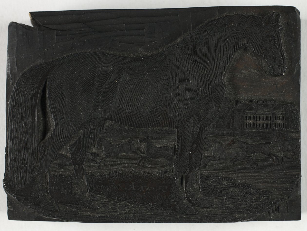Puupalikka mustalle hevoselle, nelijalkaisten yleishistoriasta tekijältä Thomas Bewick