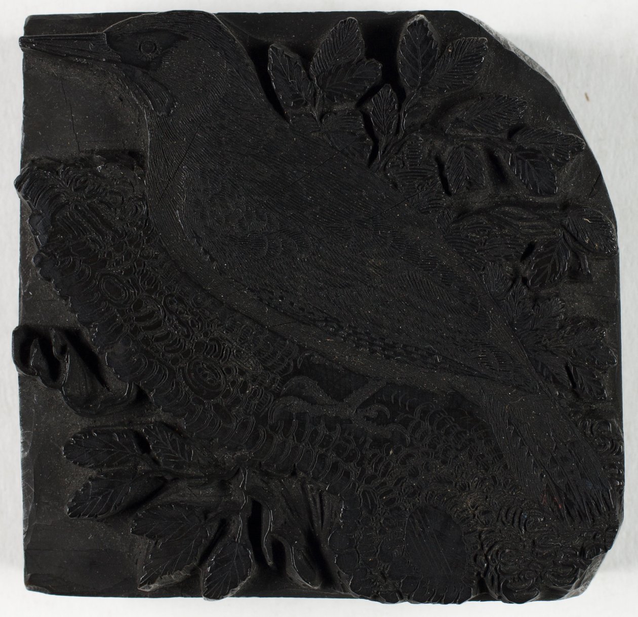 Puulaatta teokseen Vihertikka, teoksesta Britannian lintujen historia tekijältä Thomas Bewick