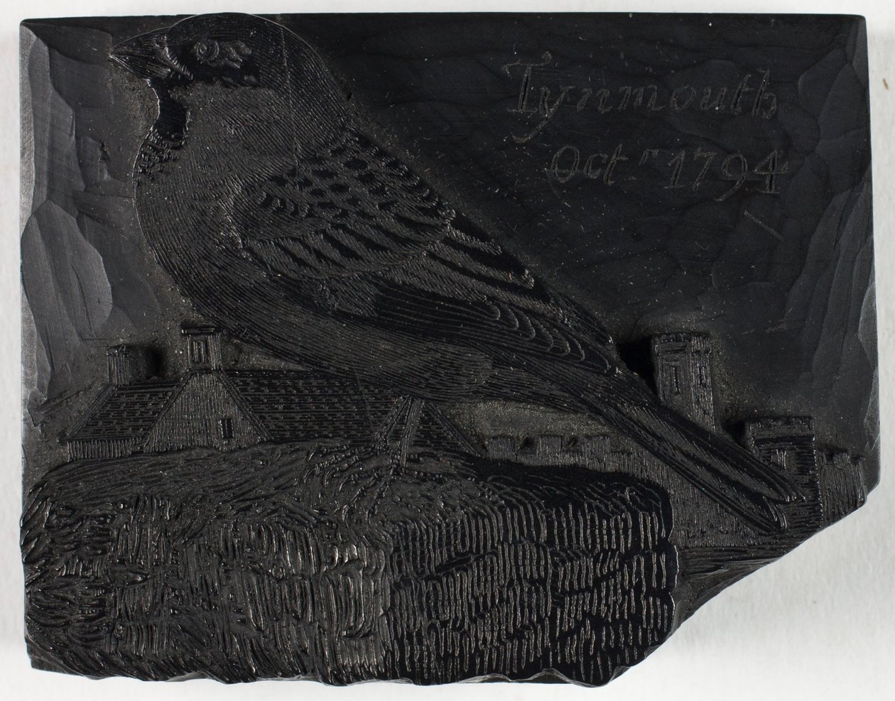 Puulaatta teokseen "Varpunen", julkaisusta A History of British Birds tekijältä Thomas Bewick