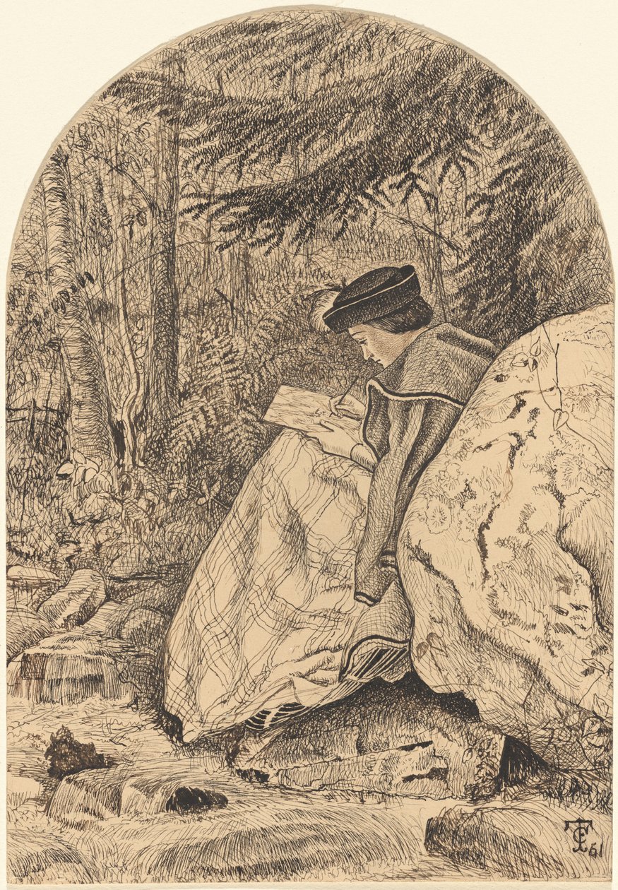 Luonnos luonnosta tekijältä Thomas C. Farrer
