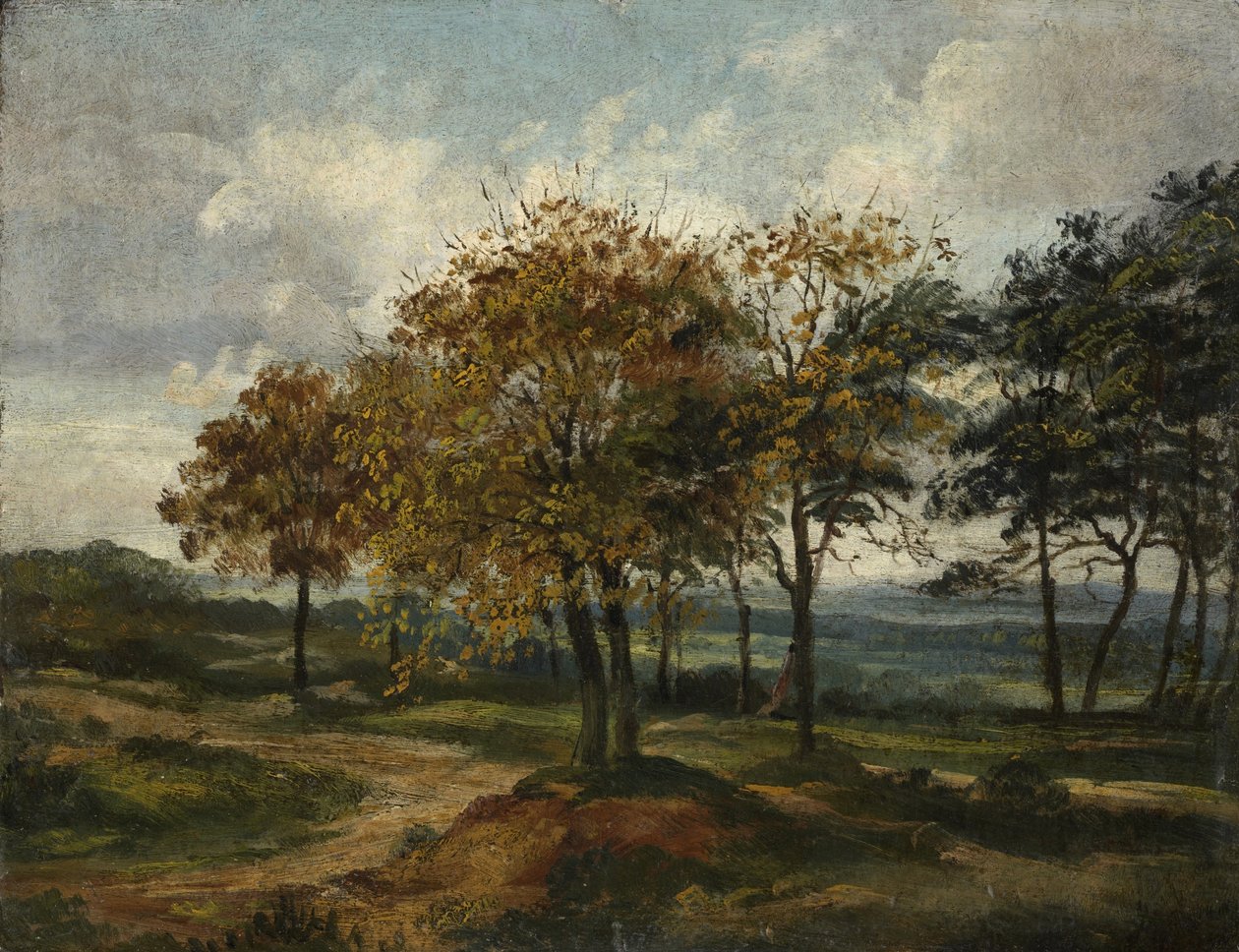 Metsäinen maisema tekijältä Thomas Churchyard