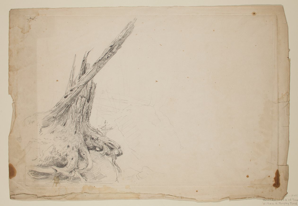 Murtunut puunrunko (kynä paperille) tekijältä Thomas Cole