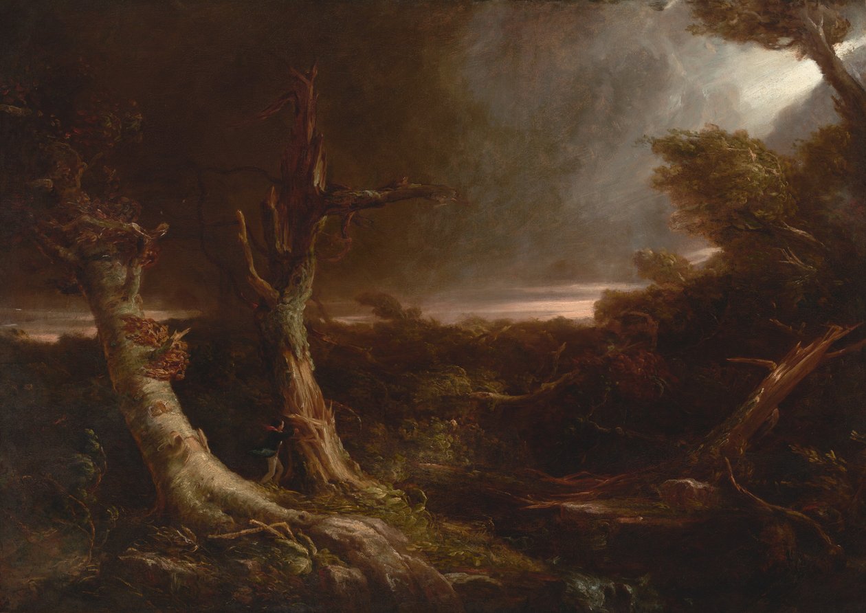 Tornado amerikkalaisessa metsässä tekijältä Thomas Cole