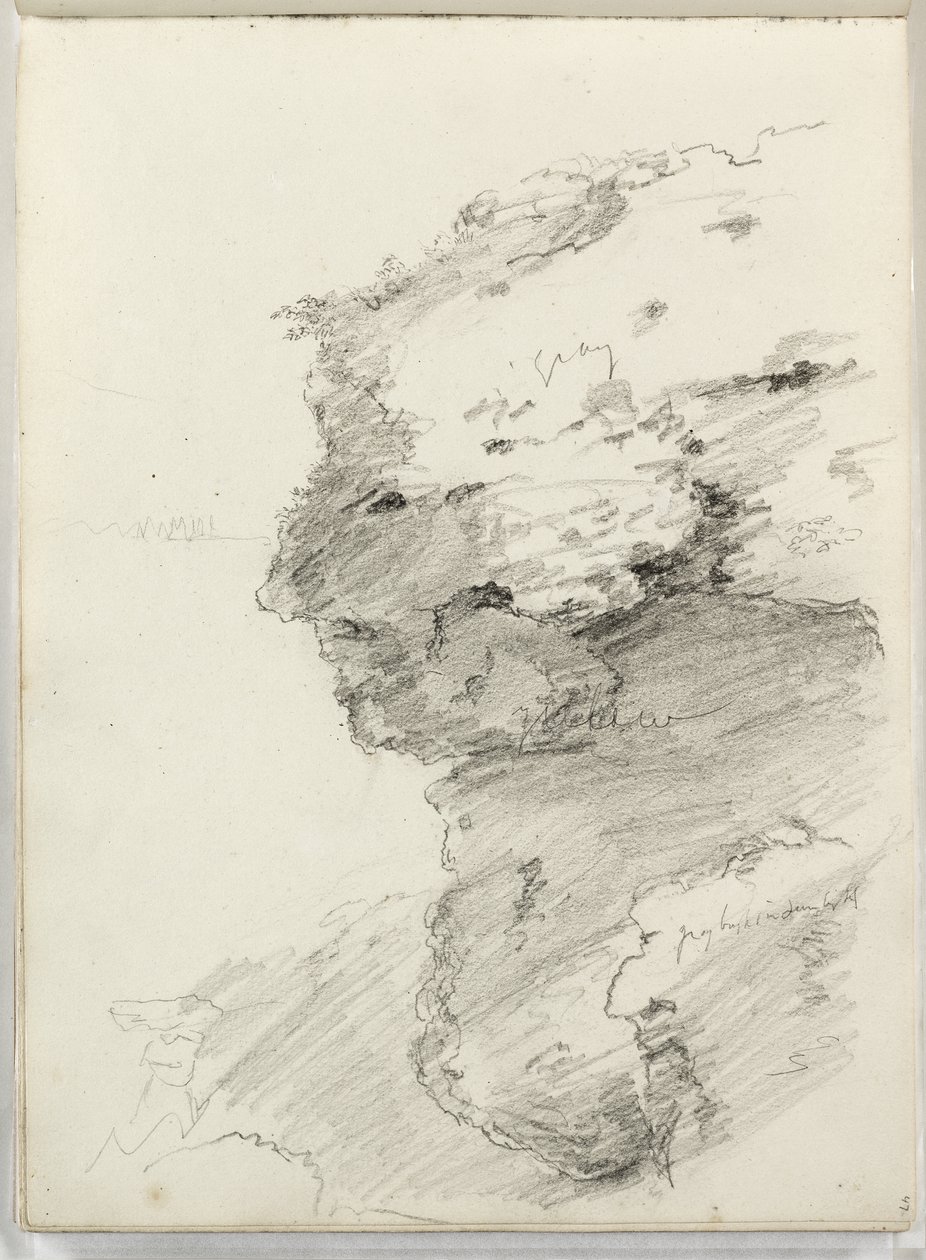 Nimetön (yksityiskohta kalliosta lehtineen) 1831 (kynä paperille) tekijältä Thomas Cole